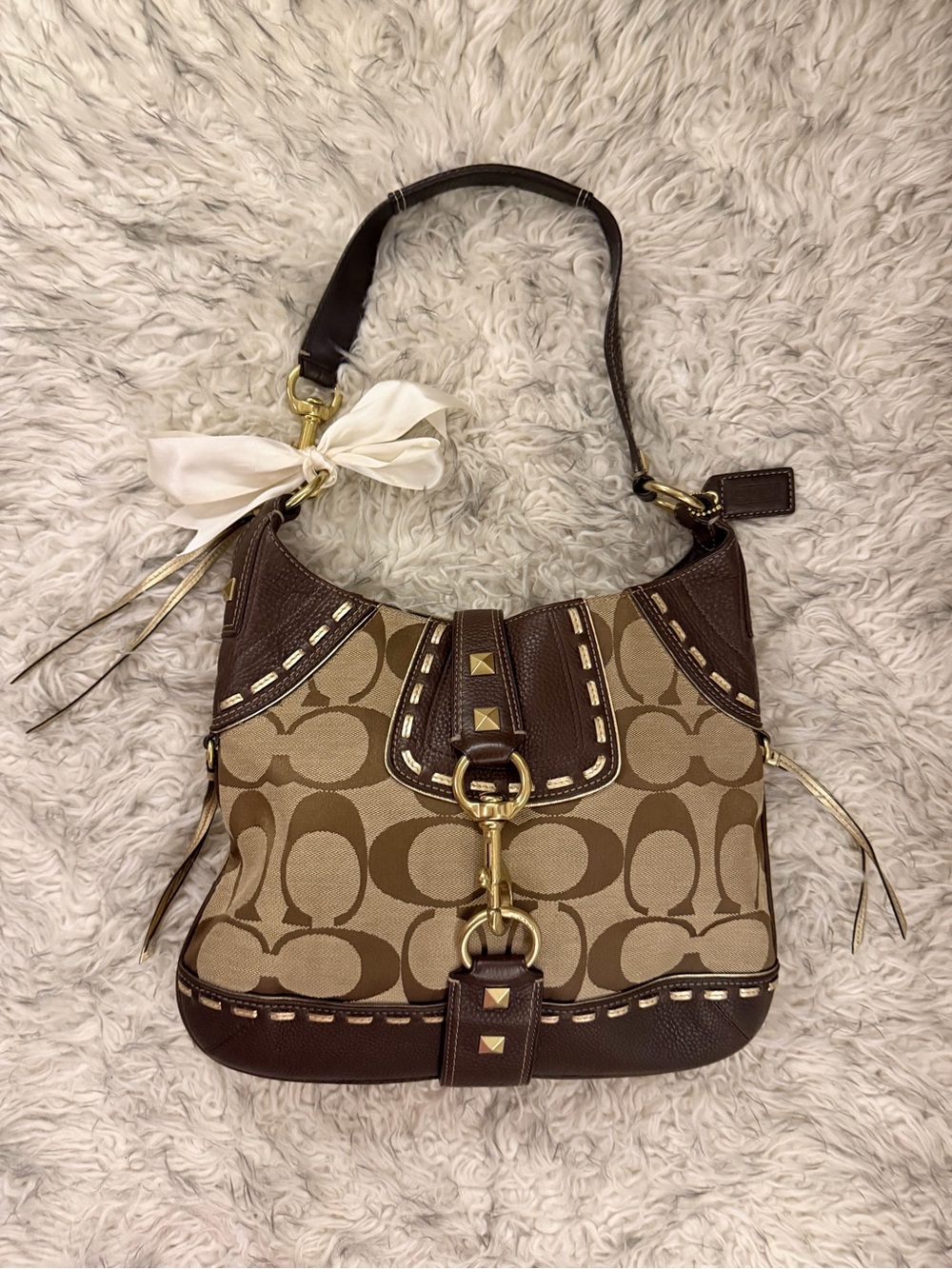 Coach Hobo Signature Canvas Bag - Brown